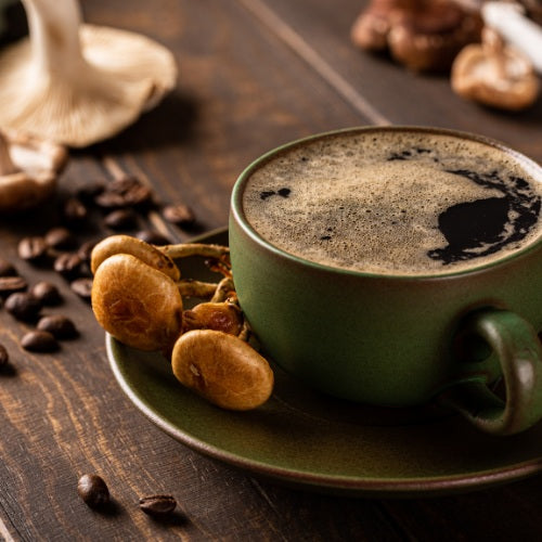 Coffee My Cup Travel Indulgence Coffee Collection showing a picture of a green mug of Coffee My Cup medium roast mushroom coffee on a green saucer with mushrooms.